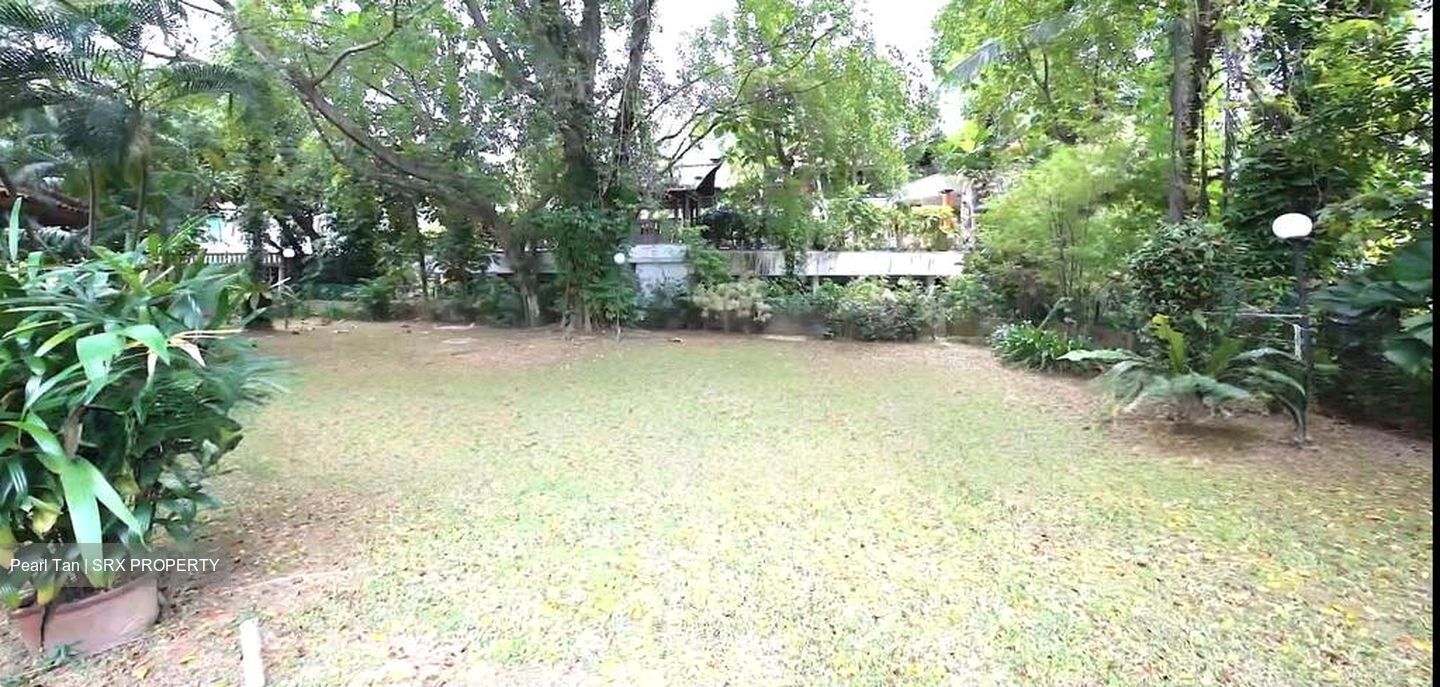 Bin Tong Park (D10), Detached #621210111